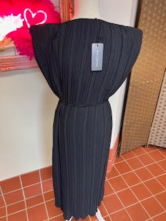 Pleated Dress Large